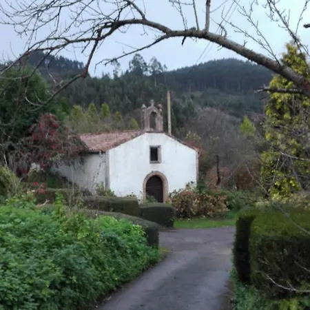 Trisqueles Y Buganvillas *