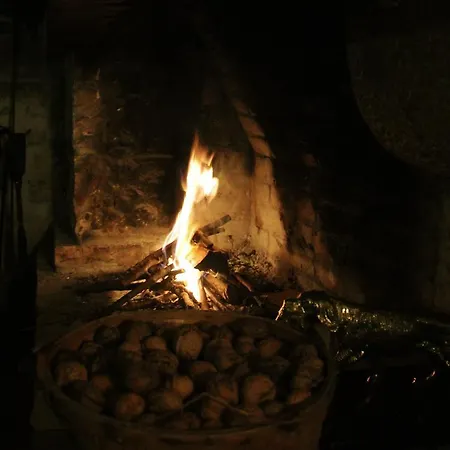 Trisqueles Y Buganvillas Séjour à la campagne Villaviciosa (Asturias)