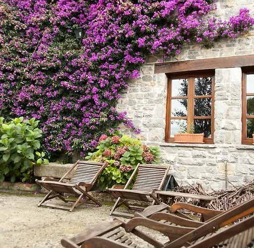 Trisqueles Y Buganvillas