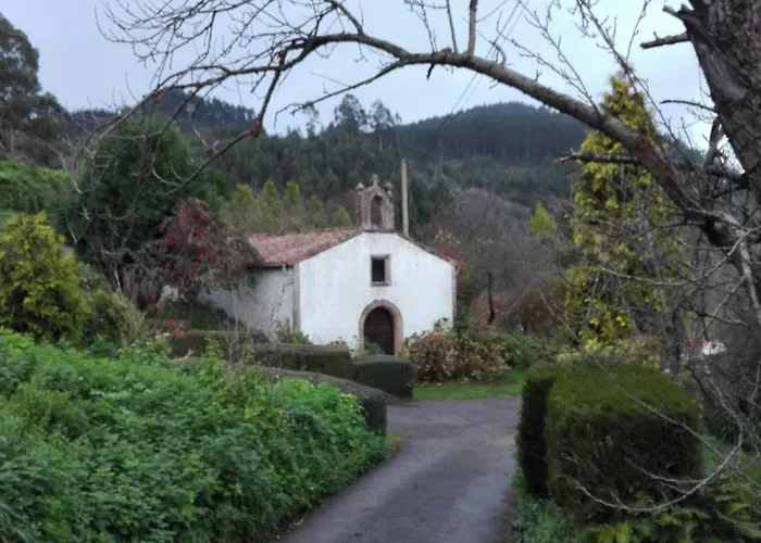 Trisqueles Y Buganvillas *