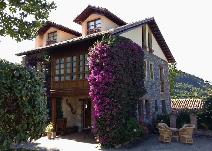 Trisqueles Y Buganvillas * Villaviciosa (Asturias)