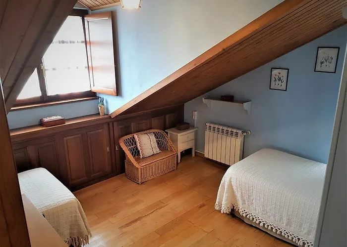 Trisqueles Y Buganvillas