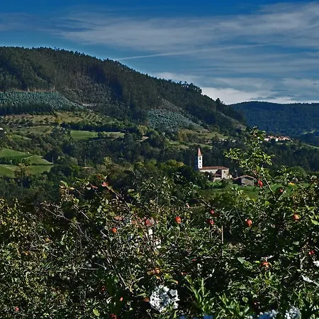 Trisqueles Y Buganvillas Villaviciosa (Asturias)